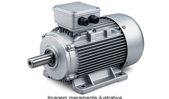 motor eletrico trifasico_bcmaq_ilustrativa