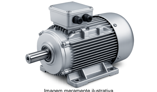 motor-eletrico-trifasico_bcmaq_ilustrativa.png